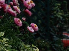 -街角 T·COFFEE 融合料理·BISTRO(车公庙店)