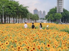 -海心沙亚运公园