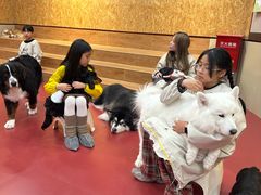 -和它·交个朋友·狗咖猫咖(爱琴海店)