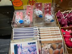 -猫咪博物馆(顶澳仔猫街店)