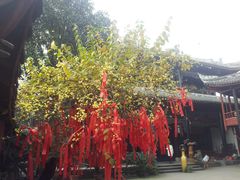-黄龙溪古镇-古龙寺