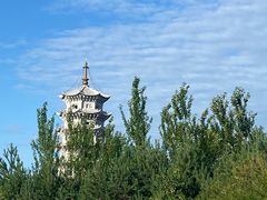 -嘉荫恐龙国家地质公园