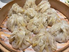 -老阿妈蒙古村·蒙古包·草原文化·歌舞表演(老君堂店)
