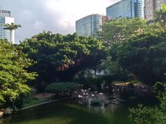 -九龙公园
