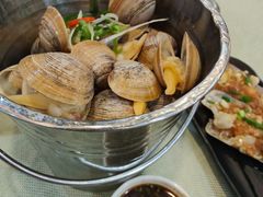 一桶黄蚬-渔娘渔家丹东海鲜(东直门店)