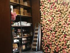 -百好乐宠物友好餐厅(朝外大街店)