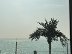 -Vanillacafe香草咖啡(银海大世界店)