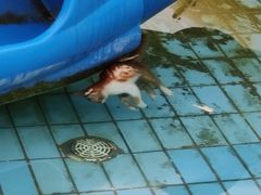 -南宫温泉水世界