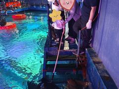 -沈阳海洋探索中心