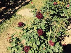 -人民公园(罗湖区)