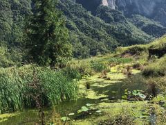 -鹿院坪生态旅游景区