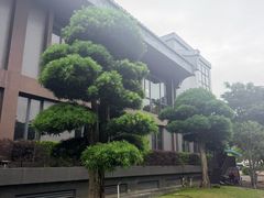 -韩上楼