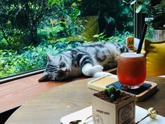 -咖法森林·咖啡  酒吧(天河店)