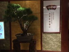 -同里湖大饭店-怡景轩中餐厅(同里古镇店)