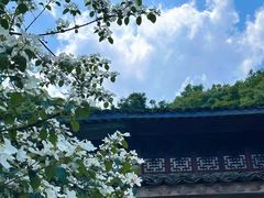 -瑞丽活螃蟹(芒市店)