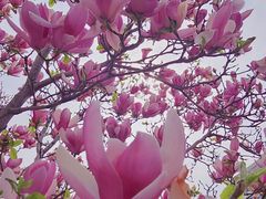 -军事博物馆(地铁站)