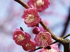 -重庆彩云湖湿地公园