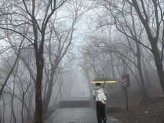 -紫金山天文台
