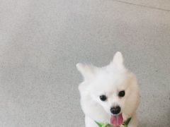 -宠颐生宠物医院·心肾内科·猫专科诊疗中心宠巢店