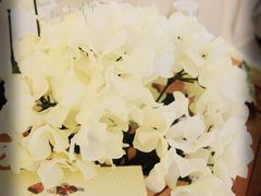 -Babycat私家御饼屋(龙头路一店)