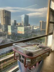 点击看大图 -梓爱月子中心(花都店)