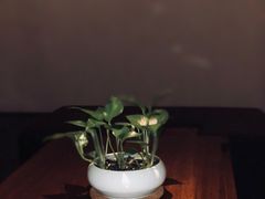 -常乐·对症推拿(来福士第43分店)