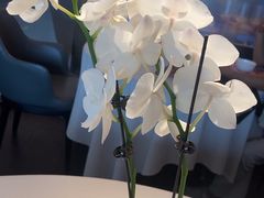 -蘇锦宴·淮扬菜烤鸭·小院(三元桥霄云路店)
