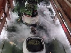 -三只耳火锅(宽窄巷子店)
