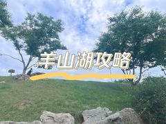 -羊山湖公园