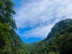 -瓦屋山景区