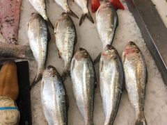 -莆鑫海鲜城(浏河店)