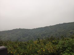 -南山风景名胜区