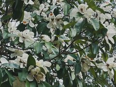 -九曲溪竹筏码头