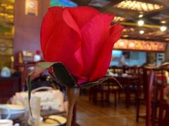 iphone_upload_pic-火宫殿(五一大道分店)