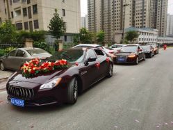 -蚂蚁婚车