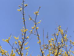 -同里国家湿地公园