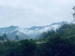 -青城山