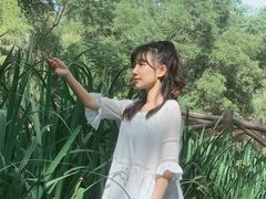 -白水寺森林公园