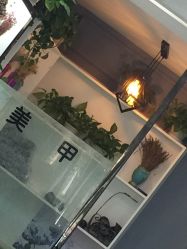 点击看大图 -DL HAIR SALON