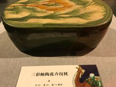 -北京周口店北京人遗址博物馆