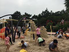 -铁山坪森林公园