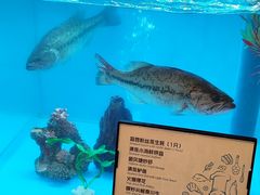 -怡咖啡·自助餐·西安香格里拉