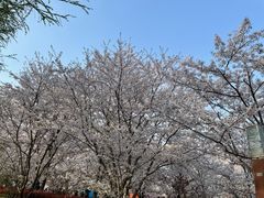 -自然谷恐龙园