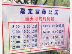 -嘉定紫藤园