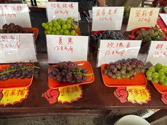 -马陆小张葡萄园农家乐