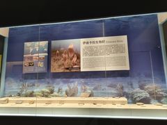 -辽宁古生物博物馆