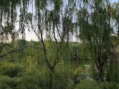 -西安汉城湖景区