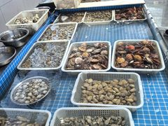 -大锅强·蒸海鲜青岛菜(吾悦广场店)