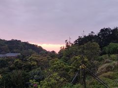 -梧桐山风景名胜区