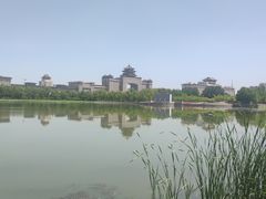 -莲花池公园